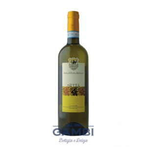 Langhe DOC Netta Anna Maria Abbona 2018 75 cl / Enoteca Gambi