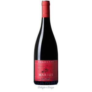 Cortona Sangiovese DOC Marius 2018 Baldetti 75 cl / Enoteca Gambi
