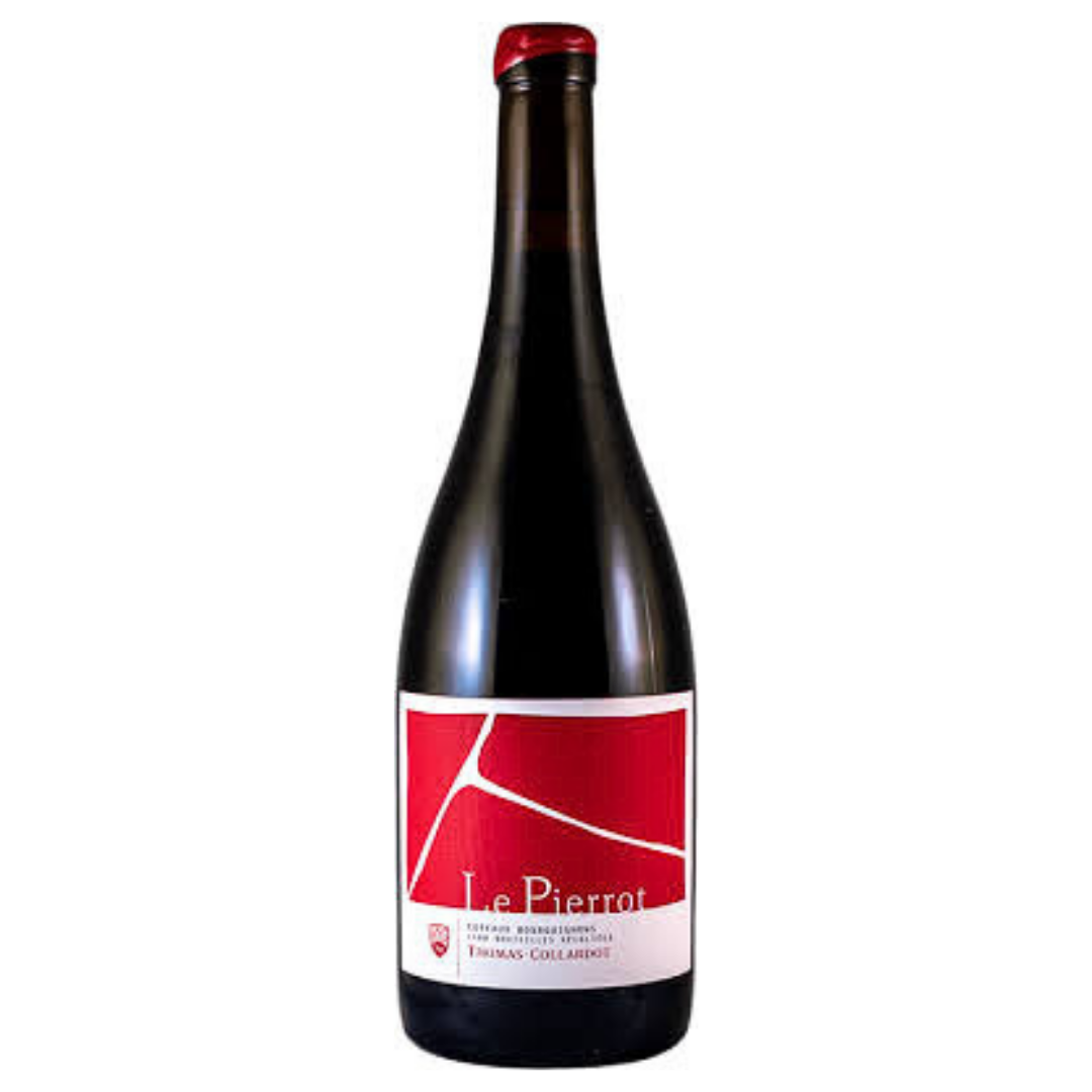 Thomas Collardot “Coteaux Bourguignons Rouge – Le Pierrot” 2022 Magnum 150 cl / Enoteca Gambi