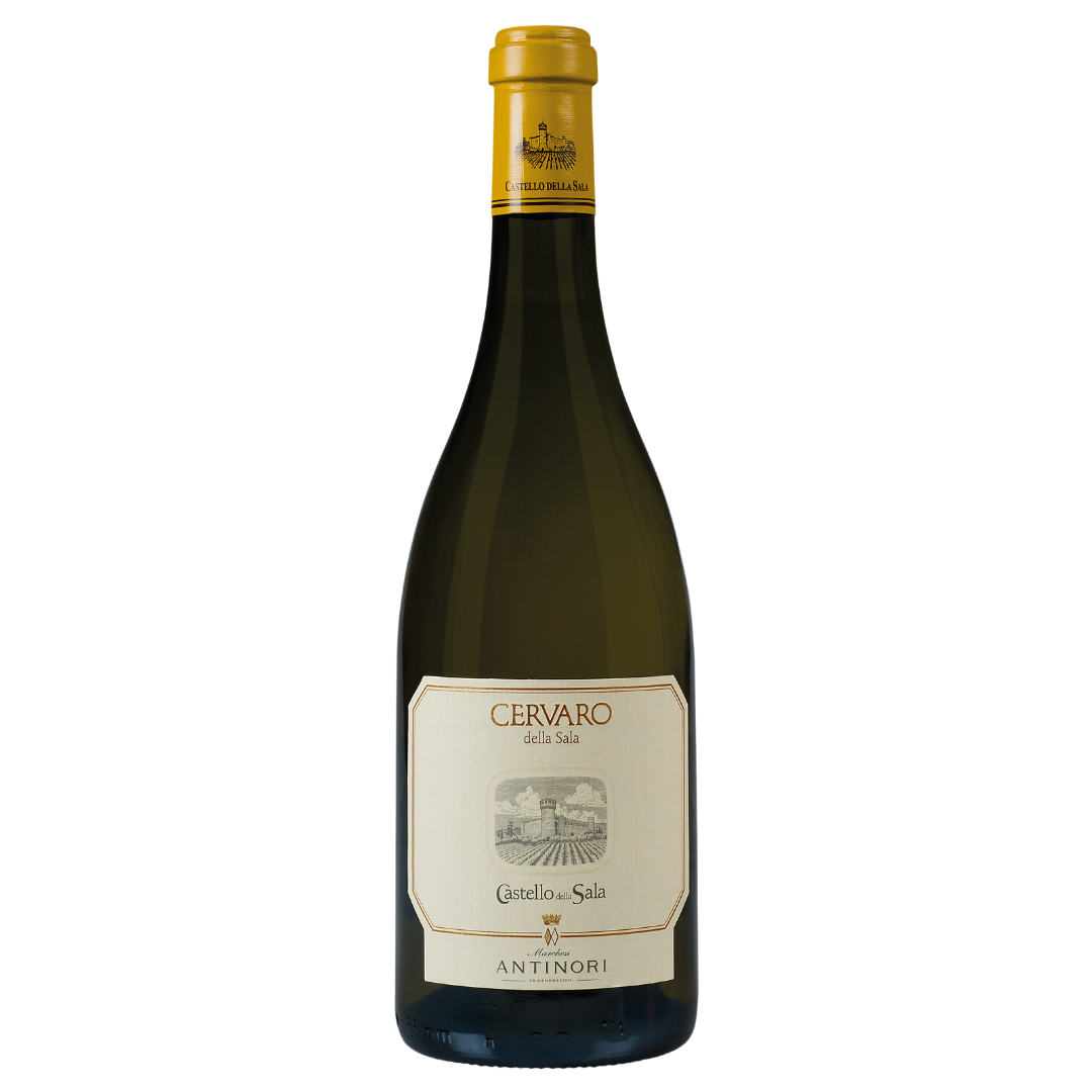Cervaro della Sala 2024 Antinori Castello della Sala 75 cl / Enoteca Gambi