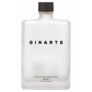 Ginarte Dry Gin 70 cl / Enoteca Gambi