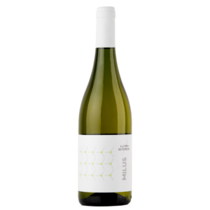 Milus 2021 Etna Bianco Superiore Cantine di Nessuno 75 cl / Enoteca Gambi
